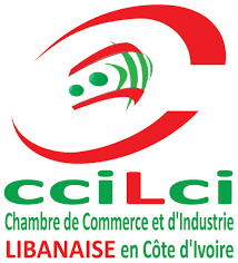 Owl Image